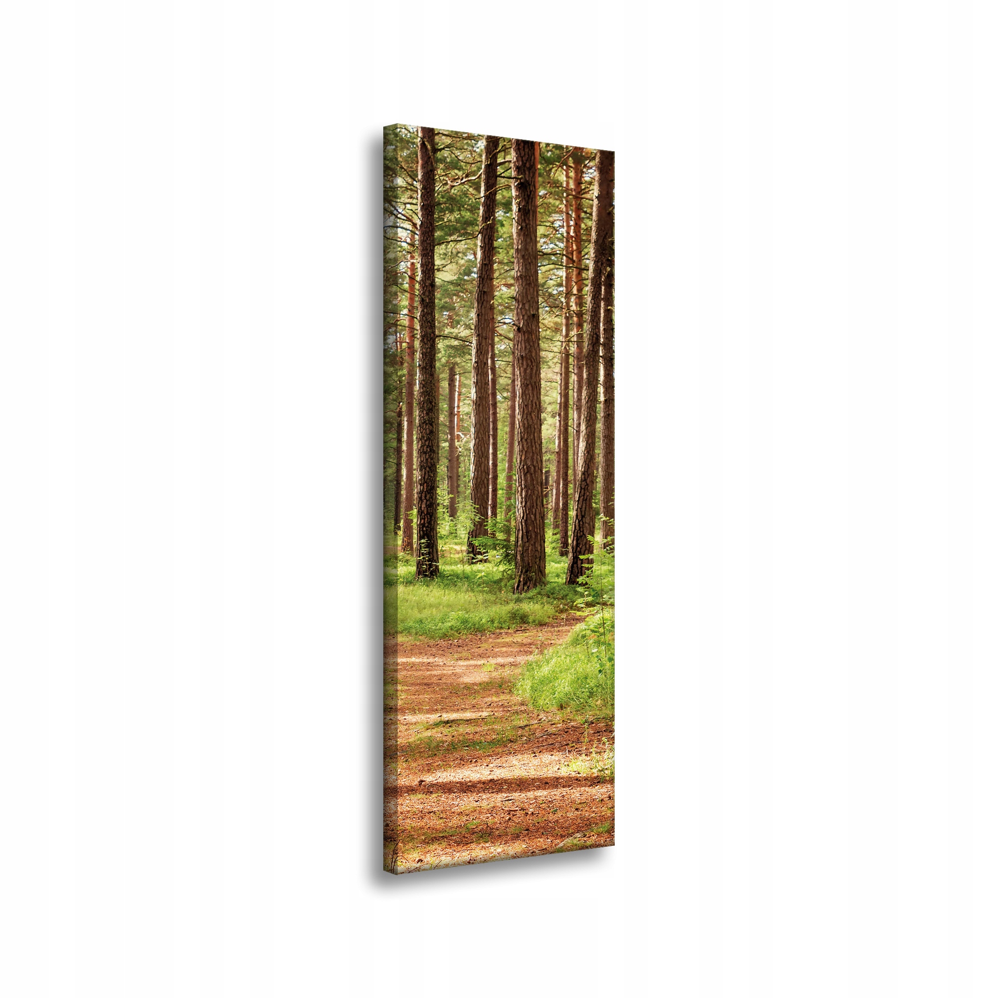 Obraz na plátně Stezka v lese Stromy Příroda 40x120 cm