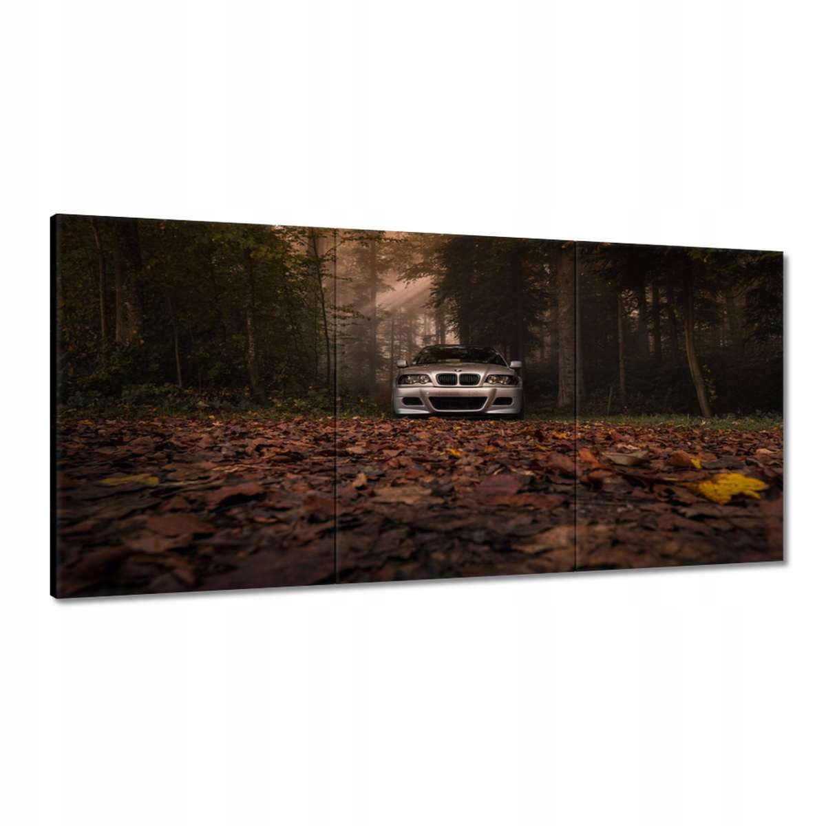 Obrazy 180x90 Bmw auto Buma BeMkA