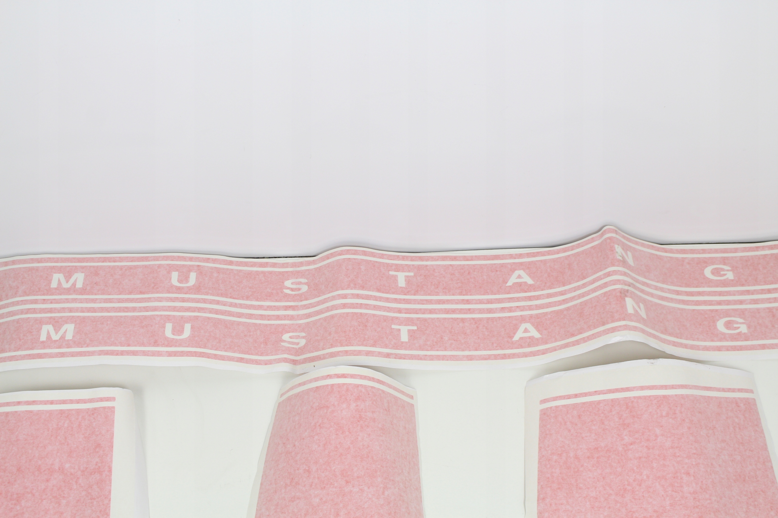 NAKLEJKI KPL FORD MUSTANG GT 05 EAN 3333333333