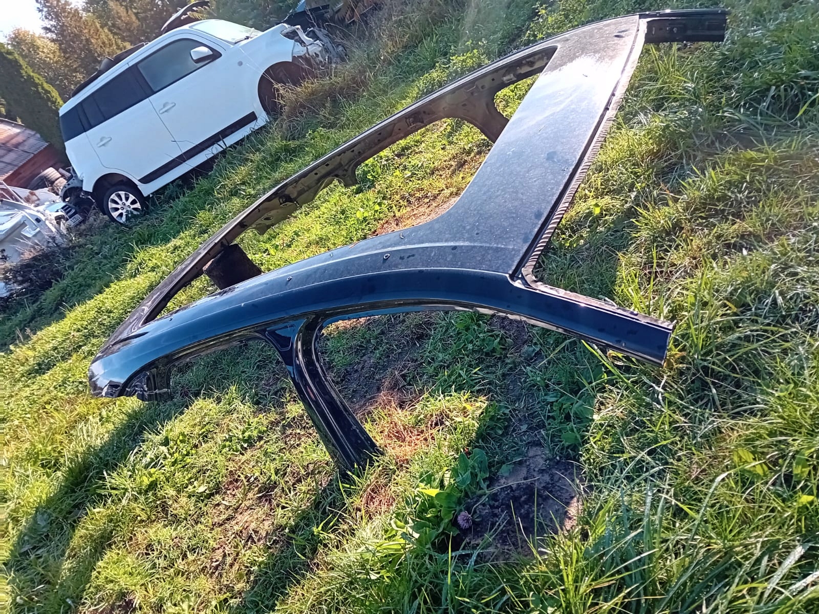 IDEALNY dach nackt ELEMENT BLACHARSKI PORSCHE CAYENNE 9Y SUV PANORAMA 1