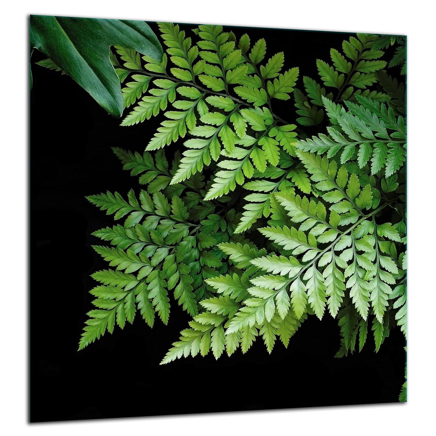 Skleněná Ochranná Deska Panel Lepidlo 60x65 LISTYTvrzené Sklo Kuchyně 7v1