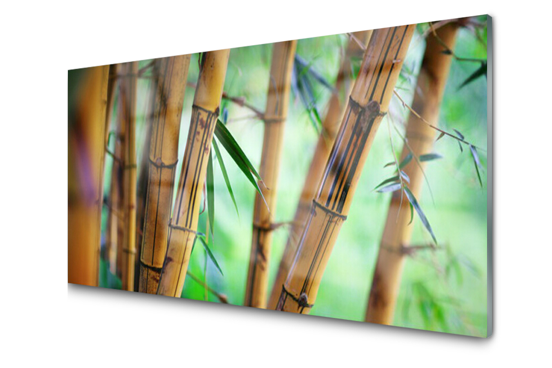 

Panel szklany dekoracyjny Bambus Roślina 100x50