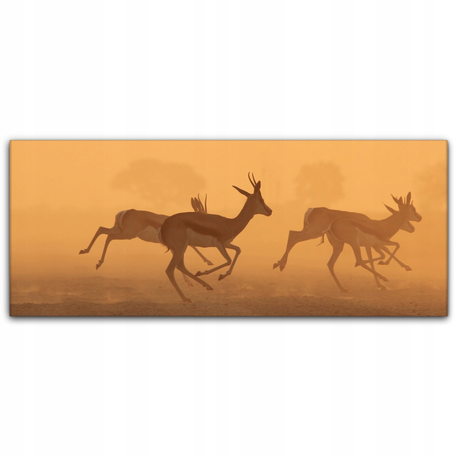 

foto-obraz na płótnie 125x50 Zachód Słońca Niebo