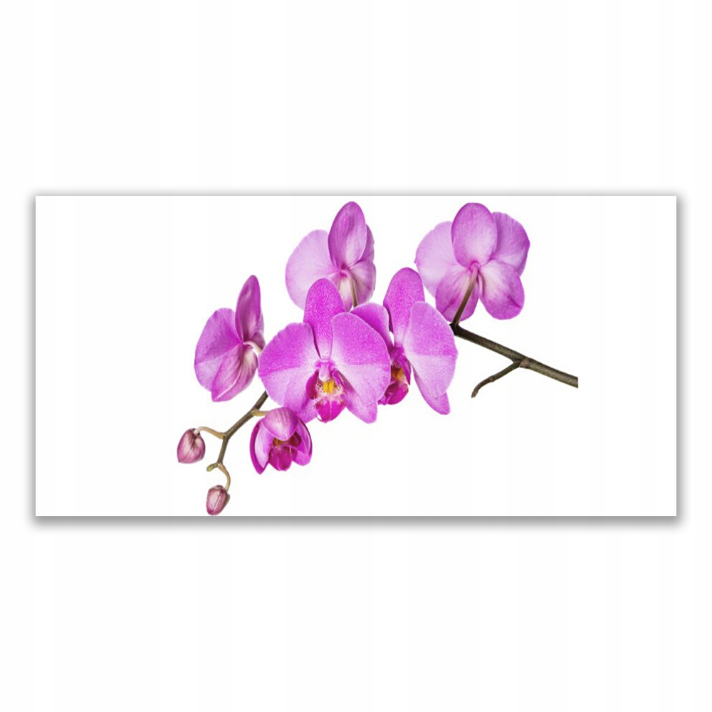 

Obraz nowoczesny 140x70 Storczyk Orchidea Kwiaty