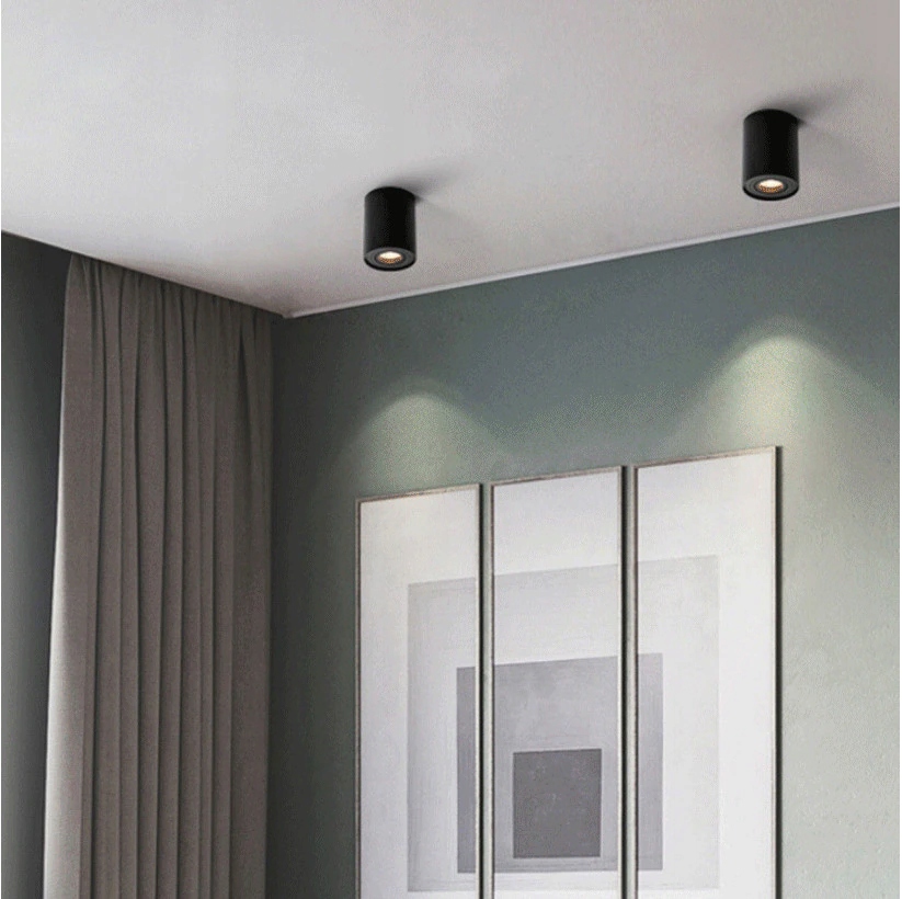 SPOT OPRAWA NATYNKOWA HALOGENOWA SUFITOWA tuba ruchoma GU10 10W żarówka LED Rodzaj gwintu GU10