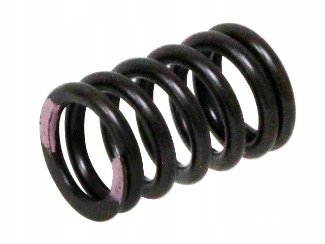 SPRĘŻYNA ZAWORU SSĄCEGO KAWASAKI KXF 250 '11-'16 (MX-09539IS)