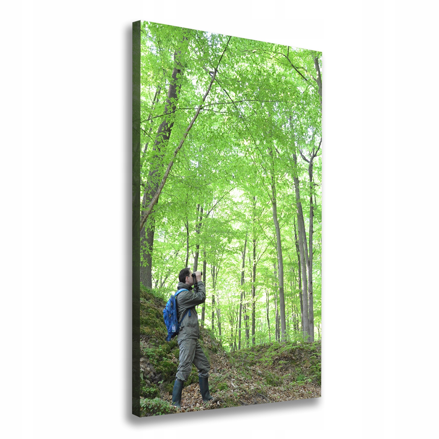

Foto obraz na płótnie do salonu Ornitolog 60x120cm
