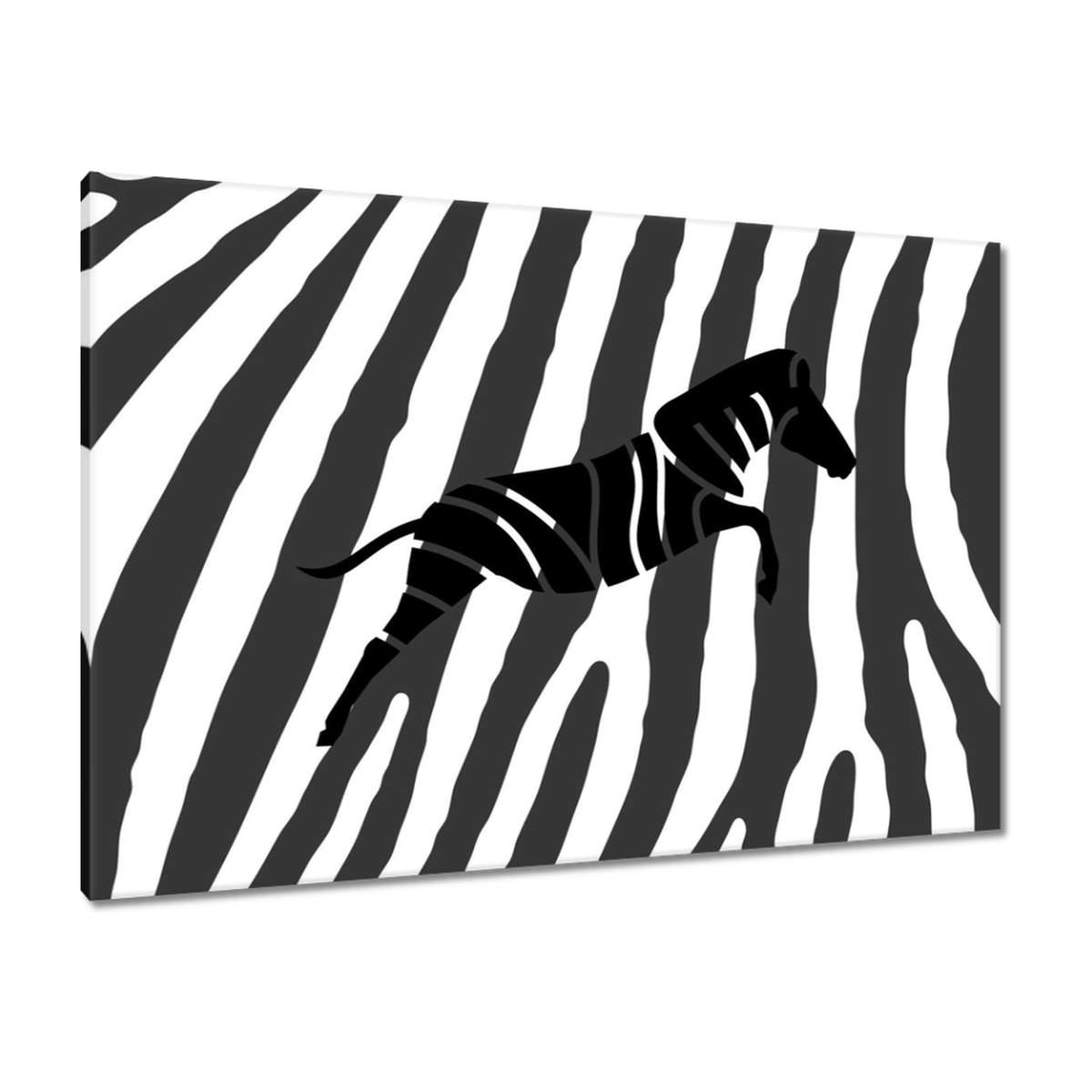 Obrazy 100x70 Zebra Pruhy