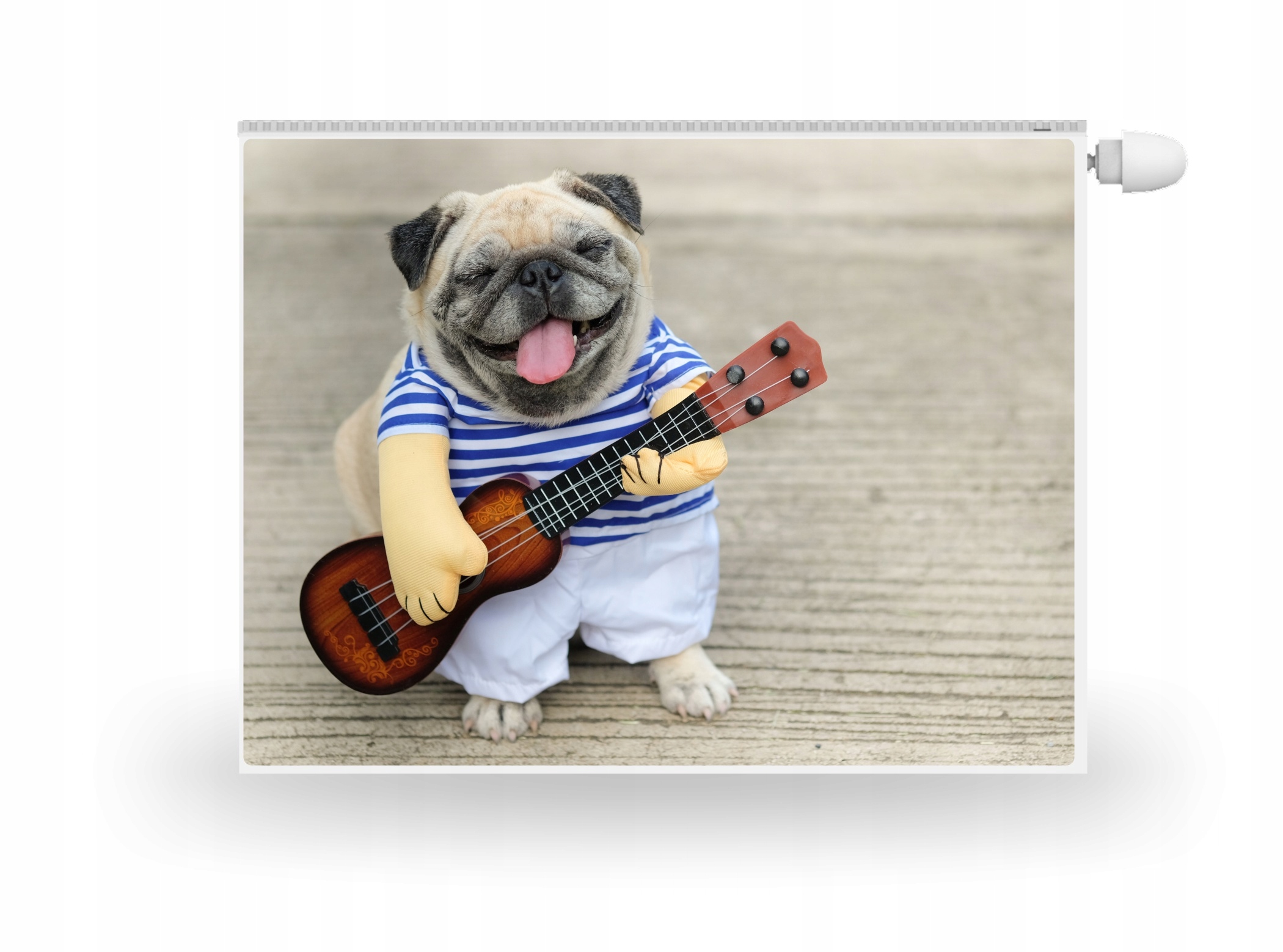 

Mata Magnes Na Kaloryfer Mops Pies Gra na Gitarze