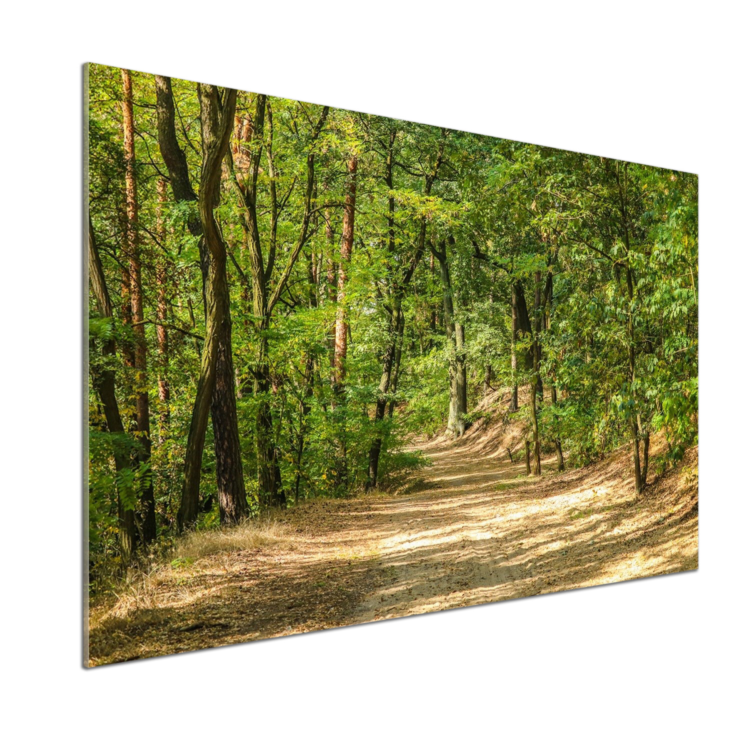 Panel do kuchyně Lesní cesta 100x70 cm Lepidlo