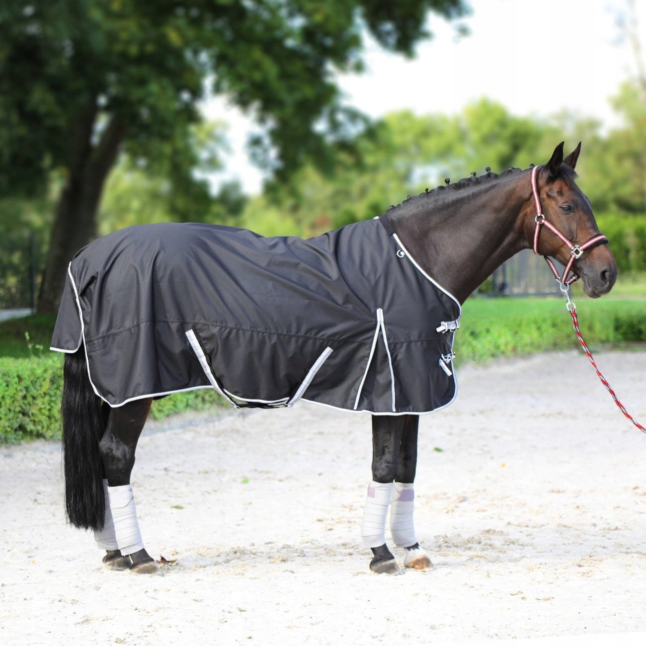 Deka pro koně York Demi 600D, paddoková, černá, vel. 155 cm