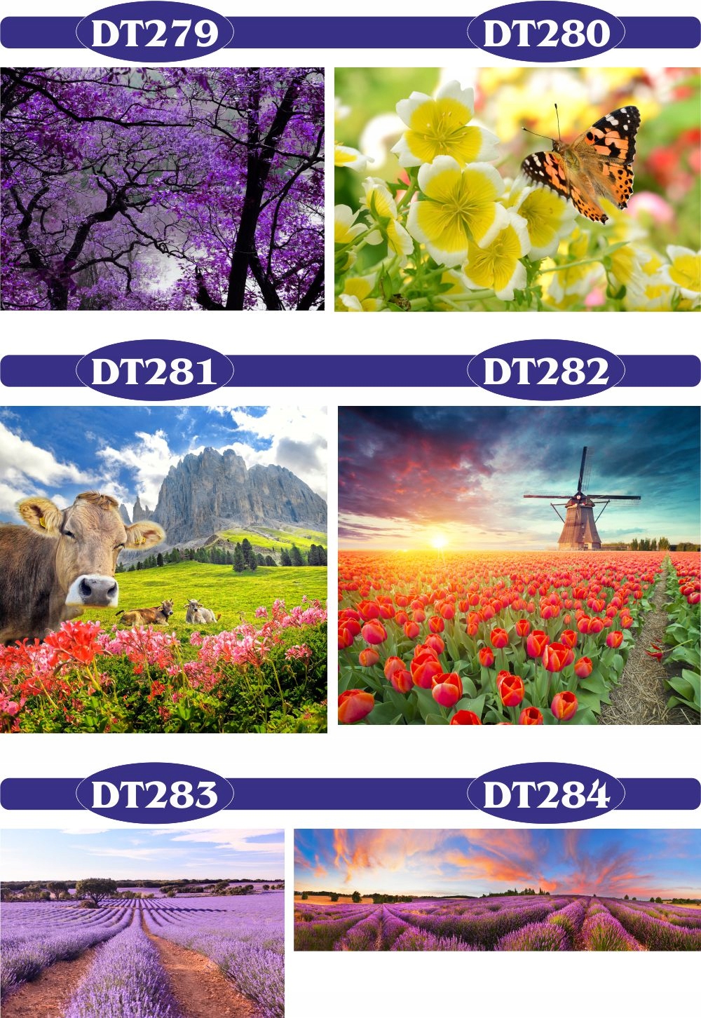 FOTOTAPETA 3d widoki wodospad most las drzewa Marka inna