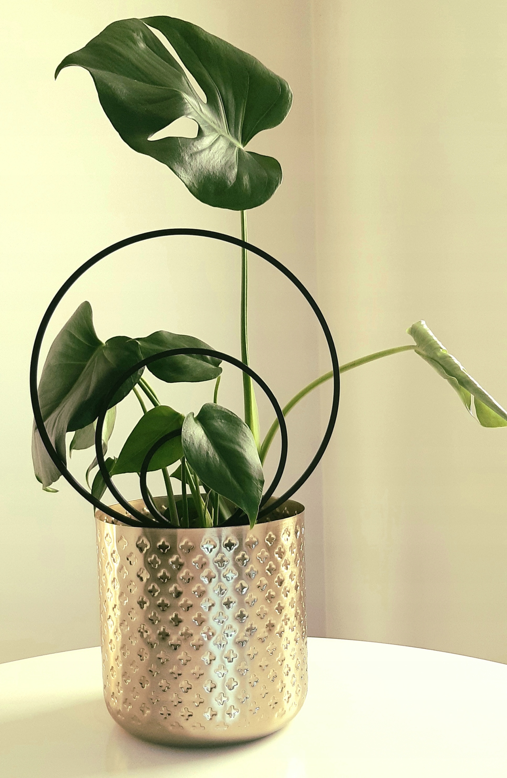 PODPÓRKA PERGOLA DO KWIATÓW KOŁO 3 OBRĘCZ 20 cm h Kod producenta PODPÓRKA DO KWIATÓW OBRĘCZ KOŁO 20 cm