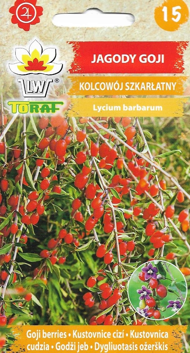 Jagody Goji nasiona
