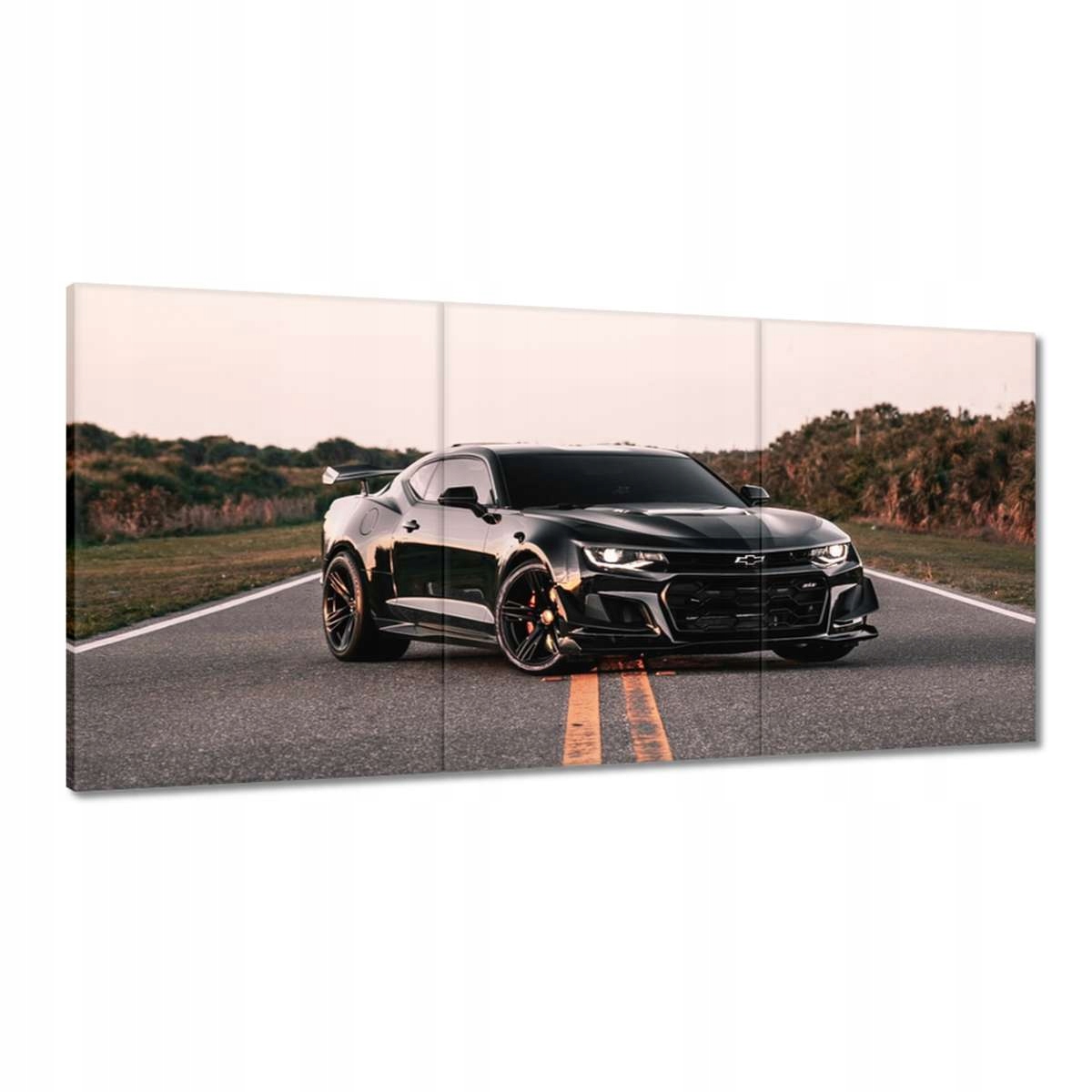 Obrazy 180x90 Auto Fura Sport