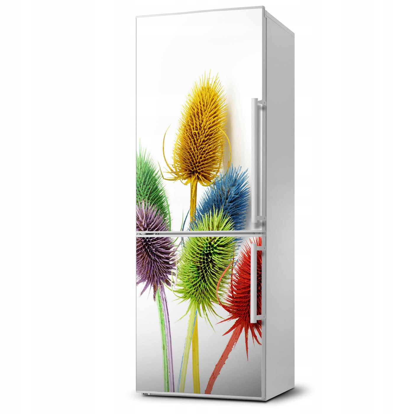 

Magnes naklejka fototapeta na lodówkę Oset 60x180