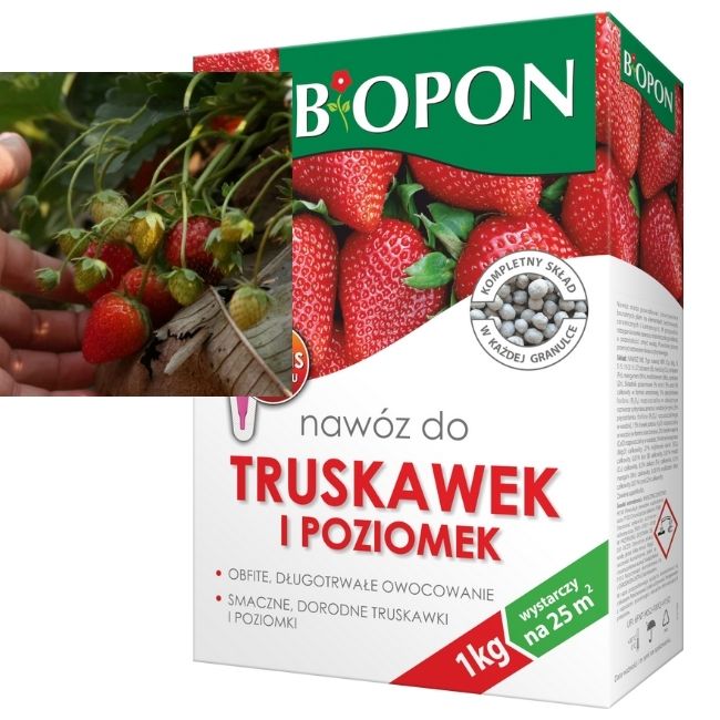 

Biopon Nawóz do Truskawek i Poziomek 1kg