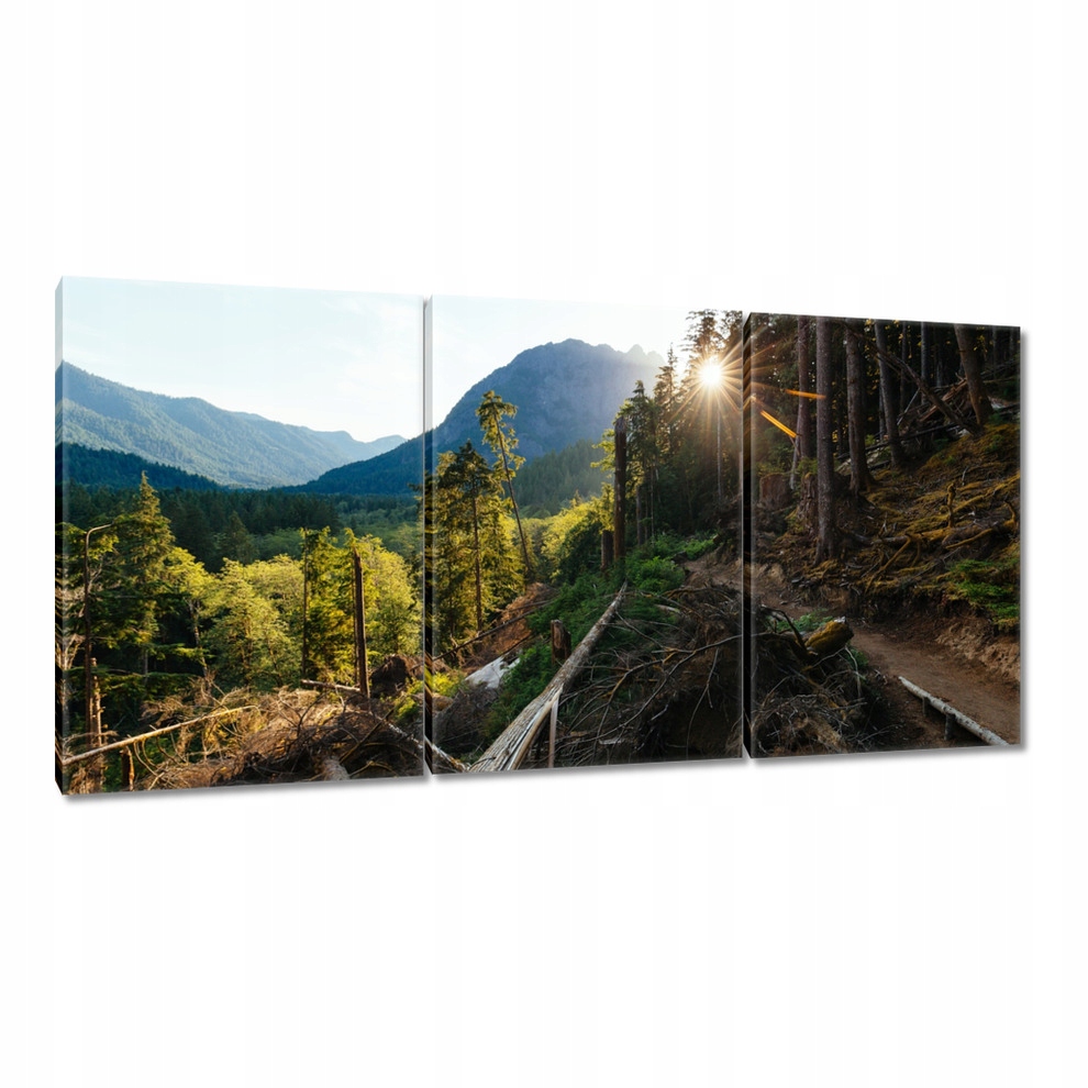 

Obrazy 120x60 Góry Słonce Las Ścieżka