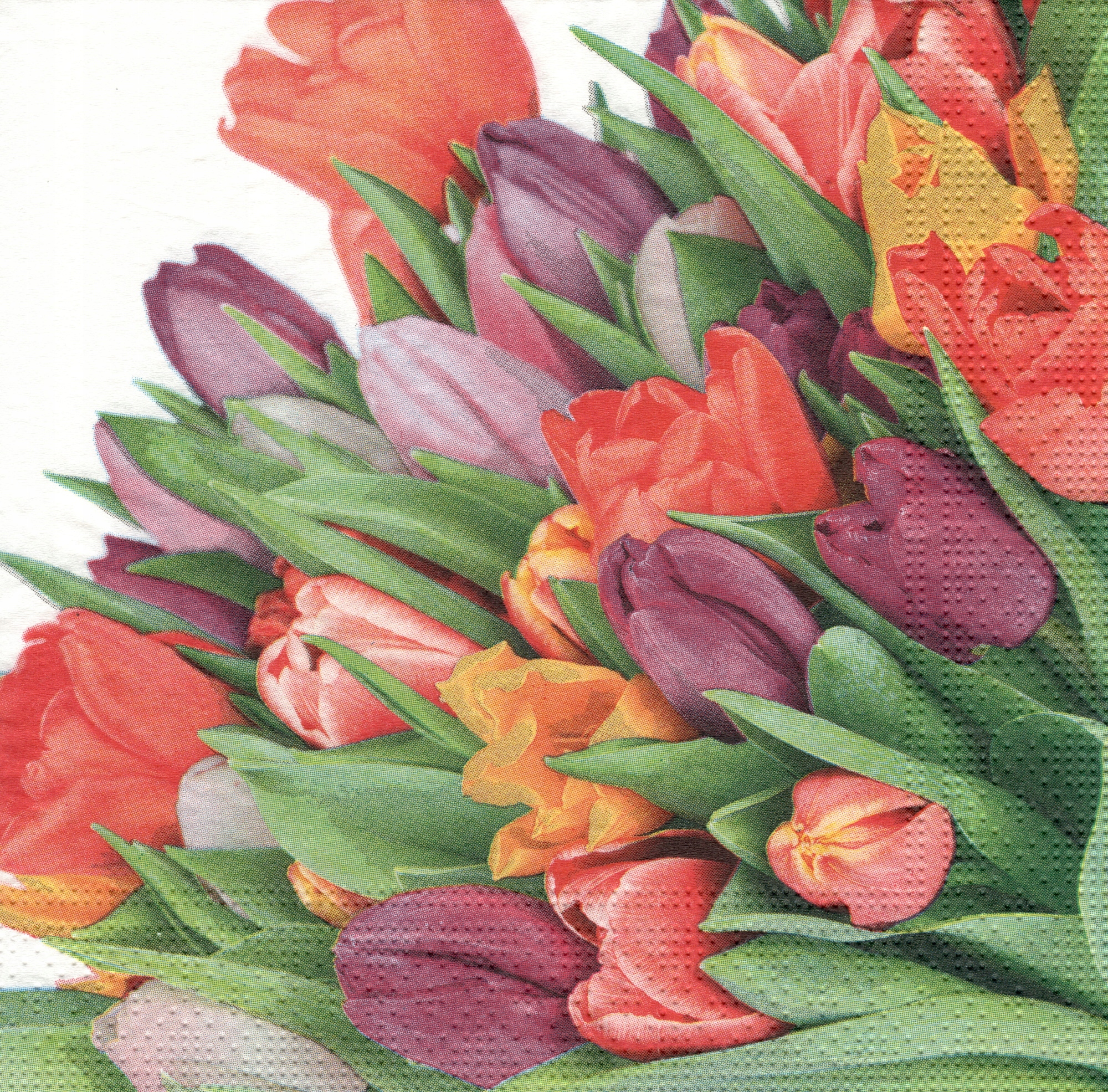 

Serwetki Papierowe 33x33 tulipany - 20 szt