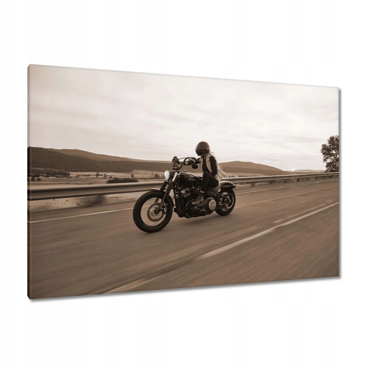 Obrazy 120x80 Harley Davidson Motocykl