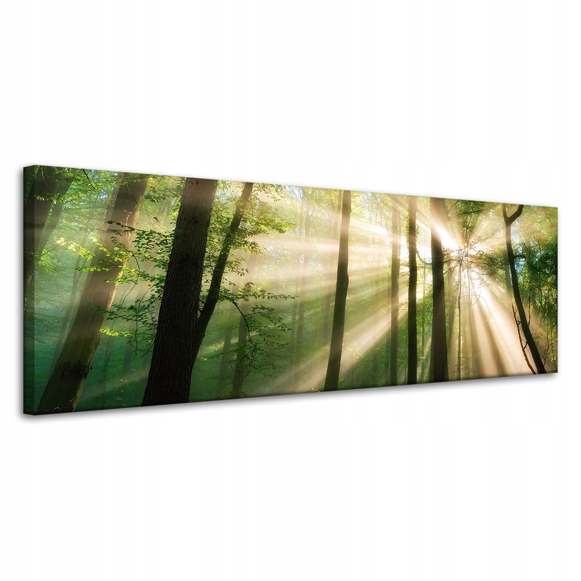 Obraz na plátně Slunce v lese Stromy Příroda 120x40 cm