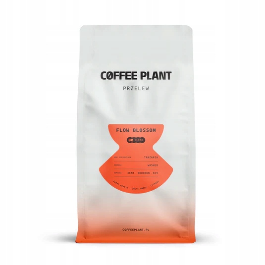 Coffee Plant Flow Blossom Coffee Arabica Kawa Ziarnista 800 G