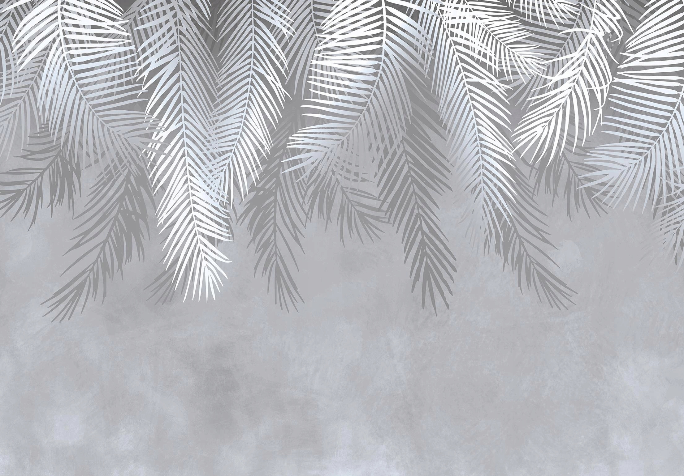Fototapeta Listy Palmy 3D efekt Peří 254 x 184 14006ve4