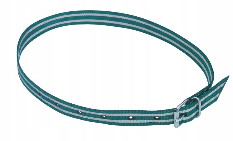 Azonosító nyakörv, 120 cm, zöld/fehér, Canagri