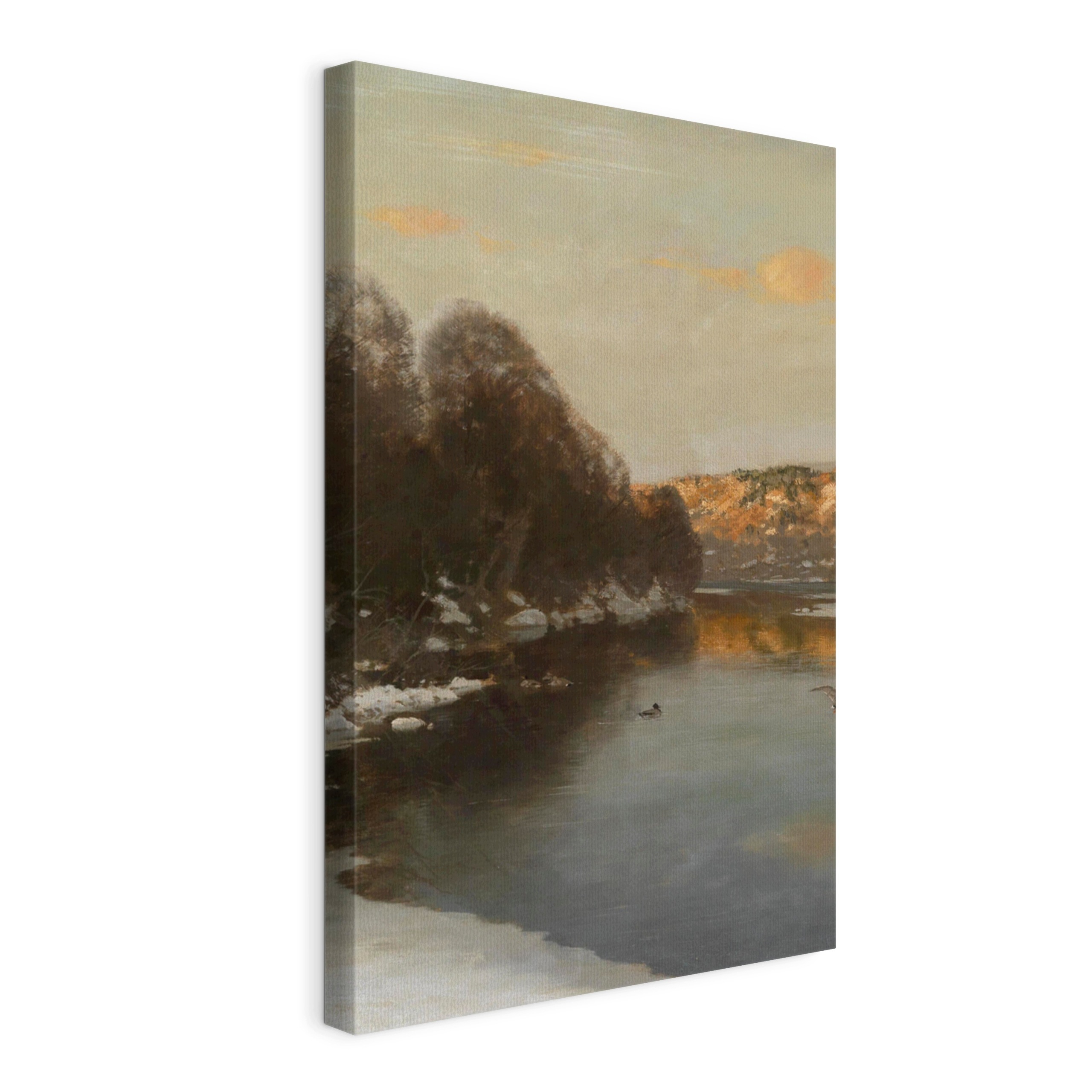 Obraz na plátně Kachny na zamrzlé řece 45x30 cm