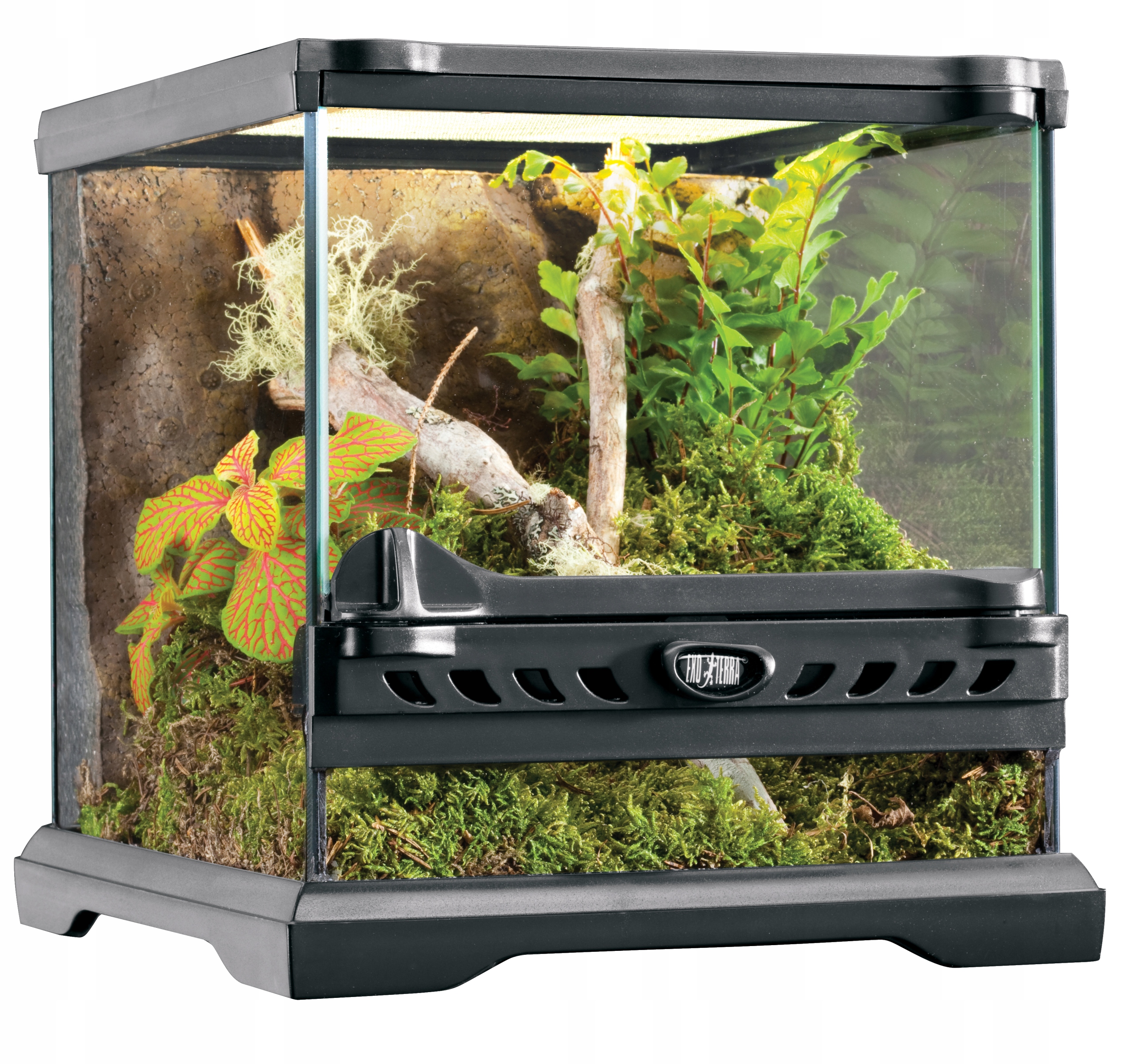 Exo-terra Terrarium szklane Nano wide 20x20x20