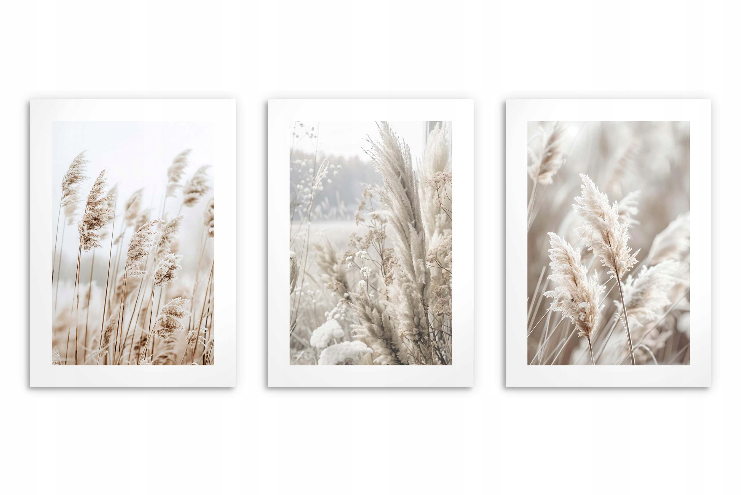 Plakaty na ścianę do salonu, plakaty boho trawa pampasowa 3x 50x70cm