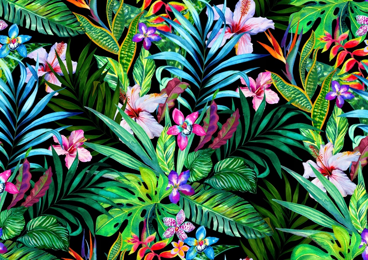 

Fototapeta Flizelina Tropikalne kwiaty 208x146