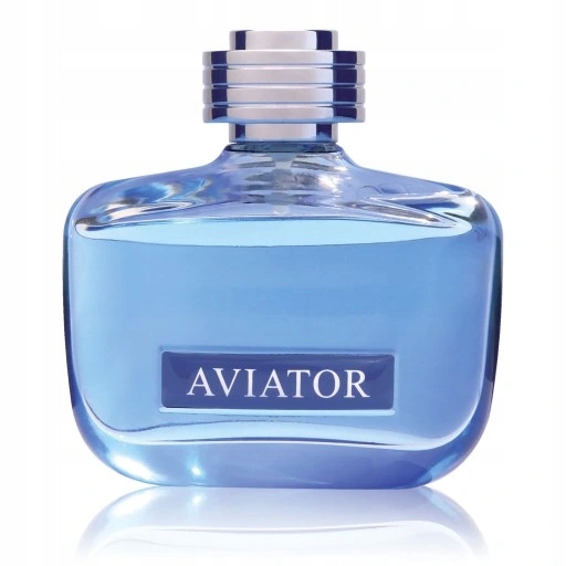 Paris Bleu Aviator Authentic 100ml Edt Pánská toaletní voda