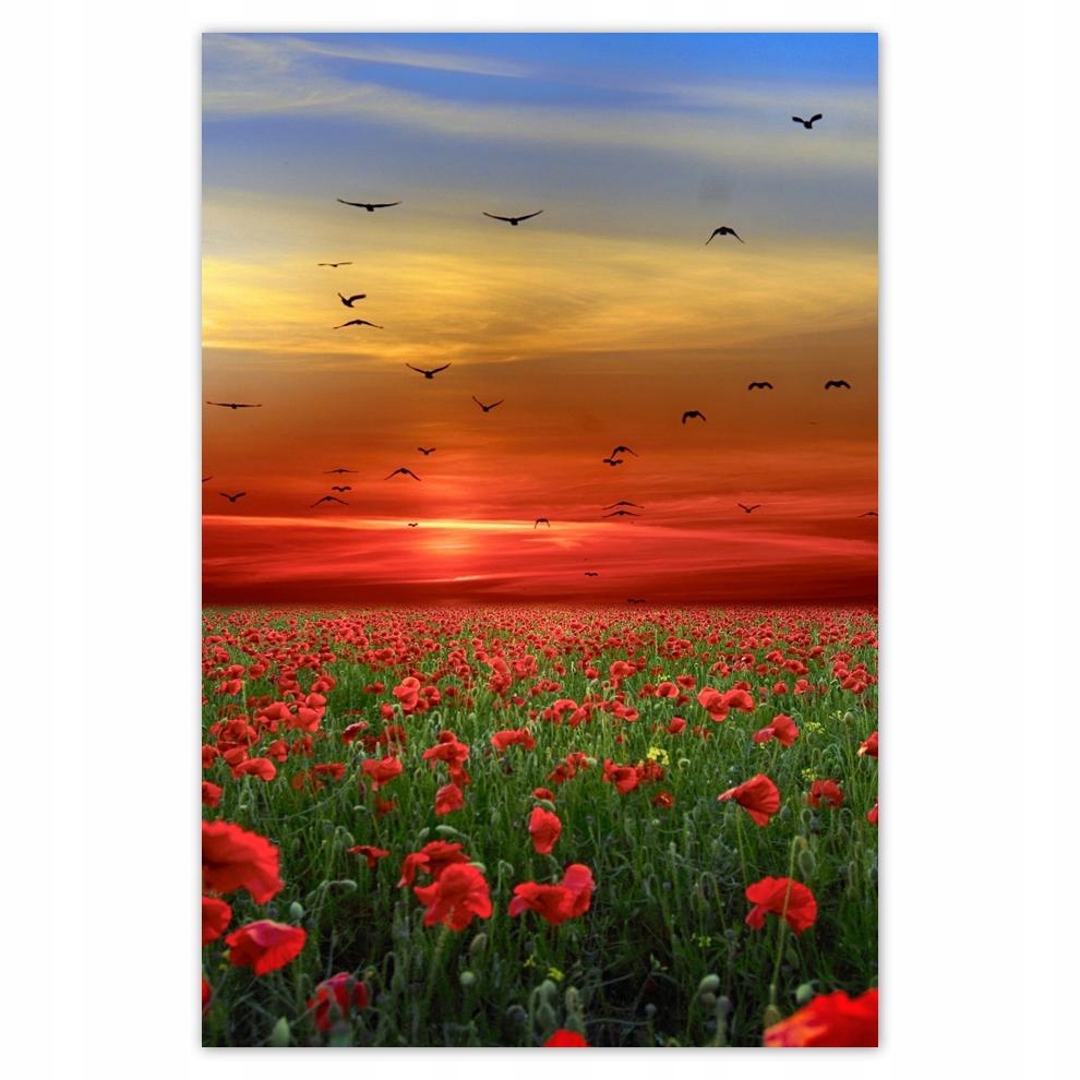 

Plakat 62x93 Pejzaż Krajobraz Widoczek