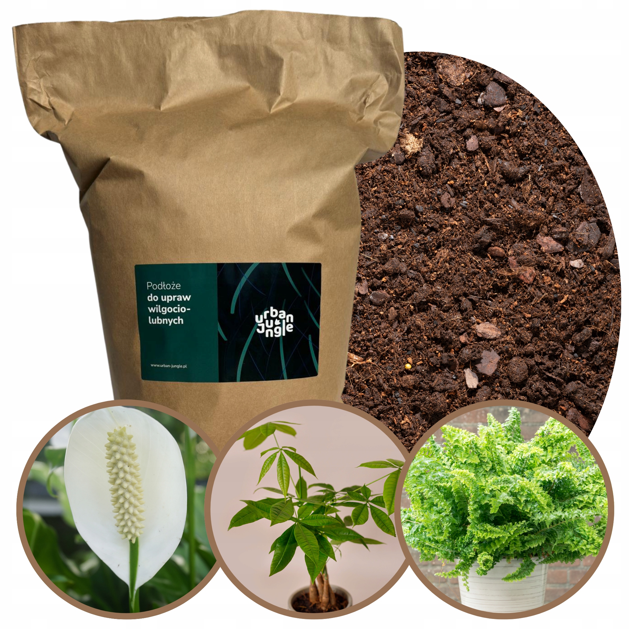 Země pro Banana a Křídlokvětina a Pachiry a Kapradí 15L bigos, substrát