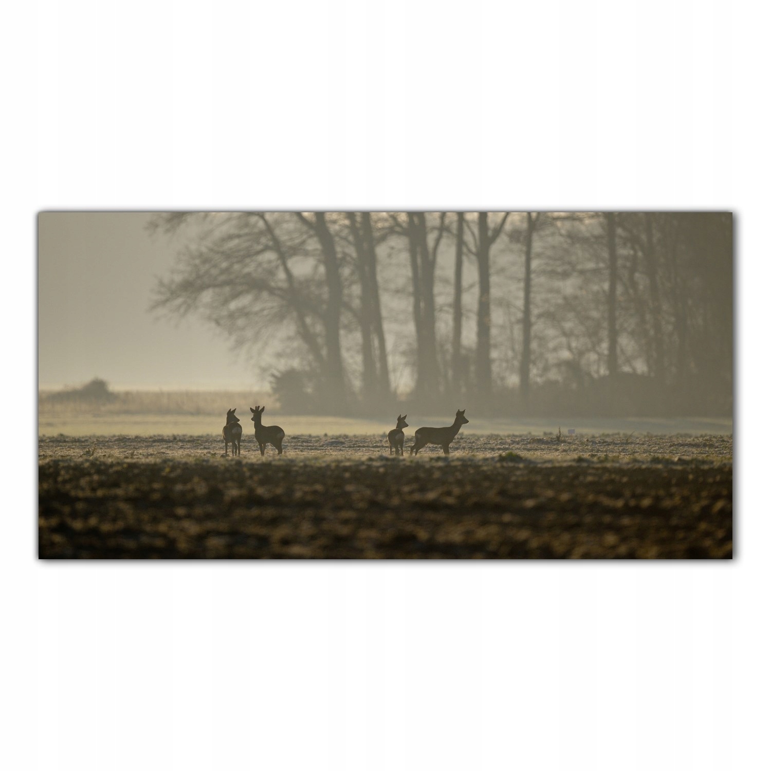 

Obraz Szklany Foto-obraz Jeleń Mgła Pole 120x60