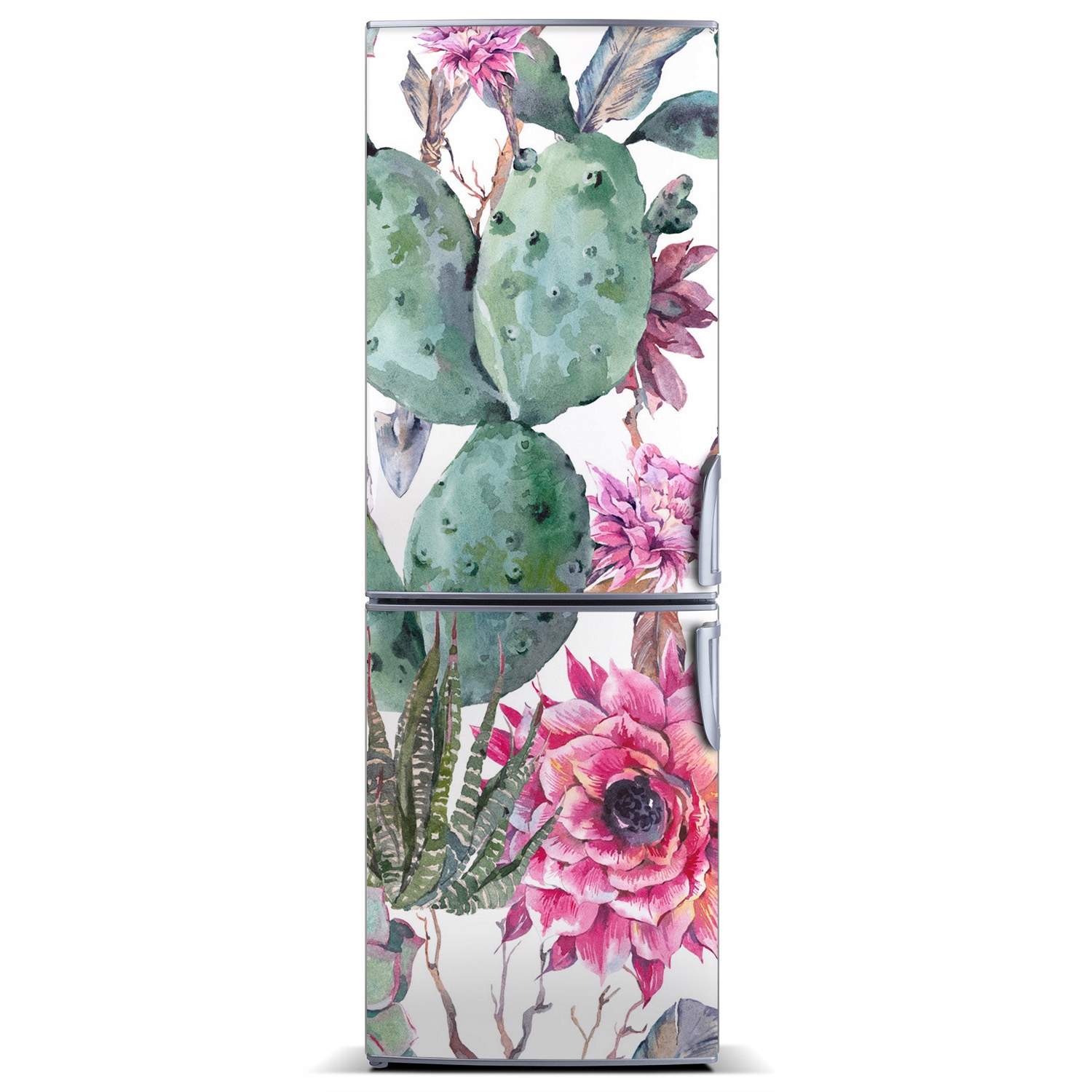 

Magnes fototapety na lodówkę Kaktusy 60x180