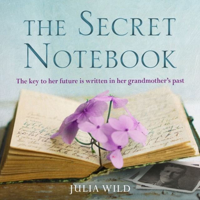Secret Notebook - Wild, Julia AUDIOBOOK Nośnik audiobook MP3