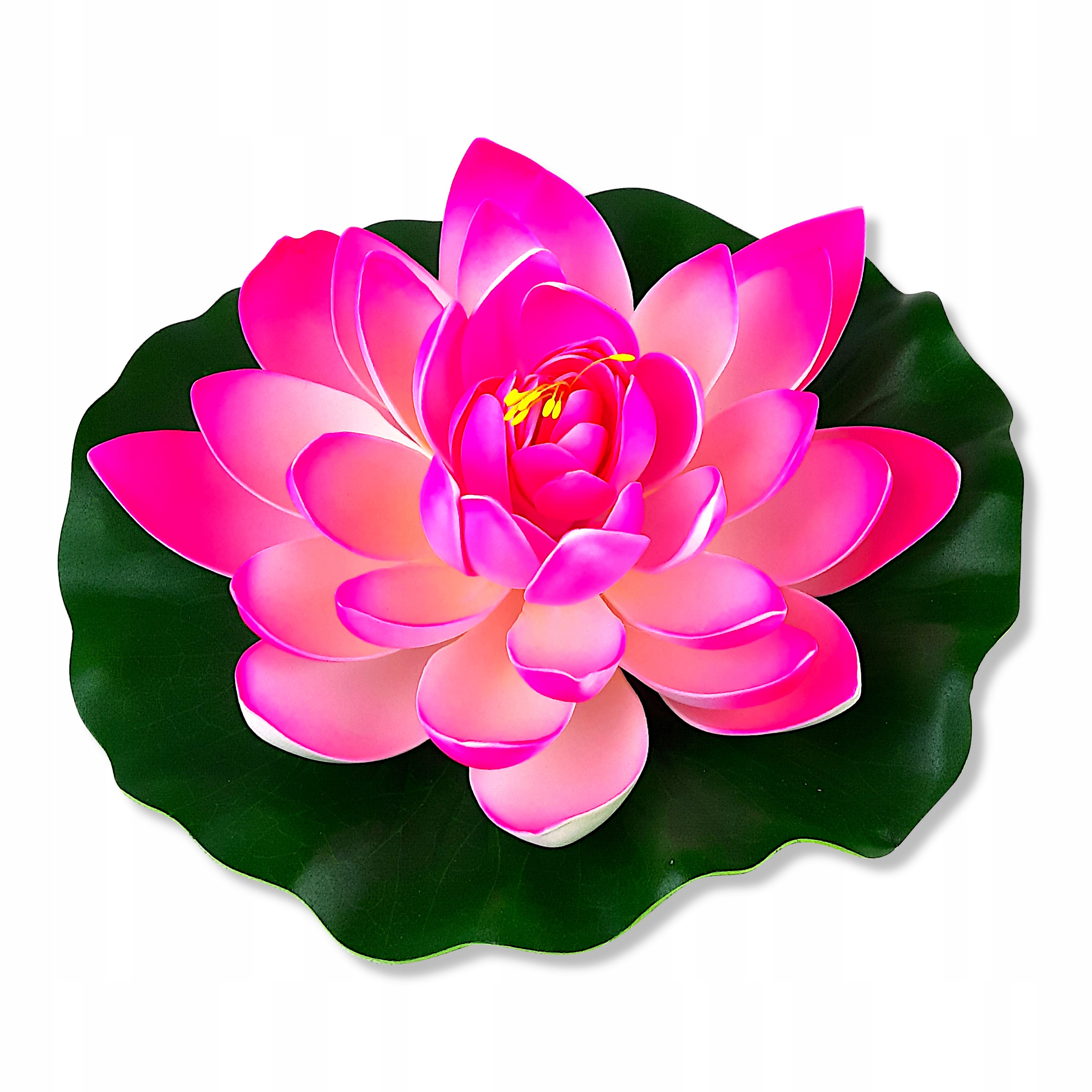 

Lilia Wodna Pływająca Biało Różowa Duża 30CM