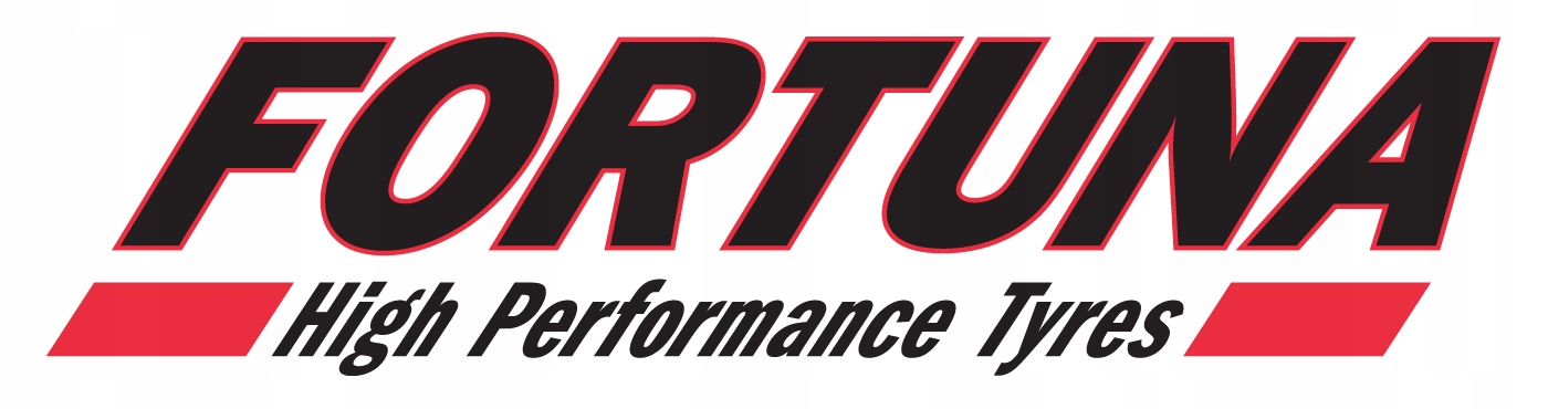 2x FORTUNA GOWIN HP 175/65R15 84 T Sezon zimowe