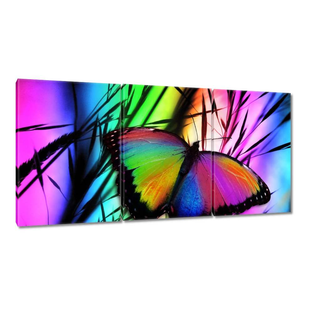 

Obrazy 120x60 Tęczowy motylek