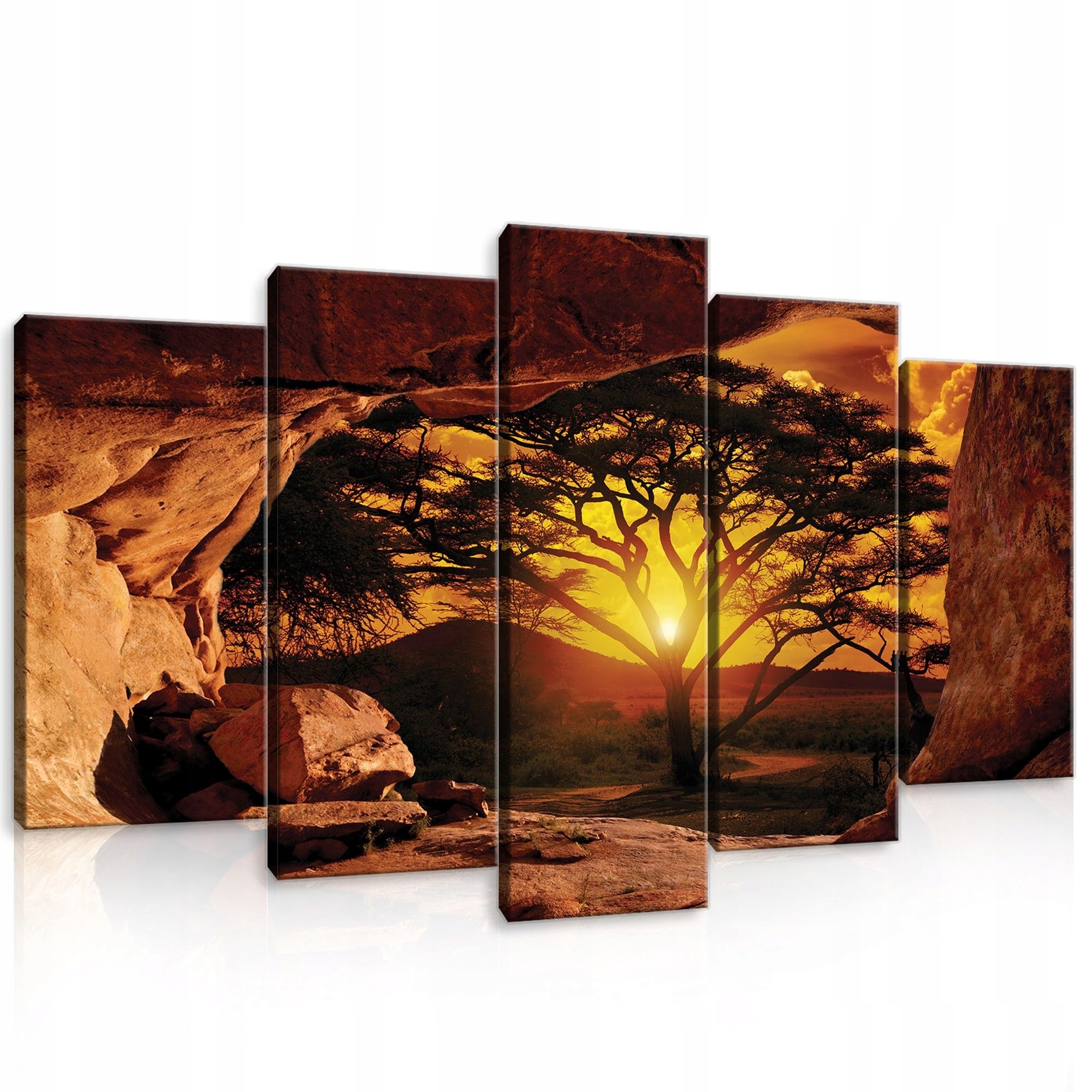 Obraz 100x60 Afrika savana západ slunce stromy skály příroda krajina