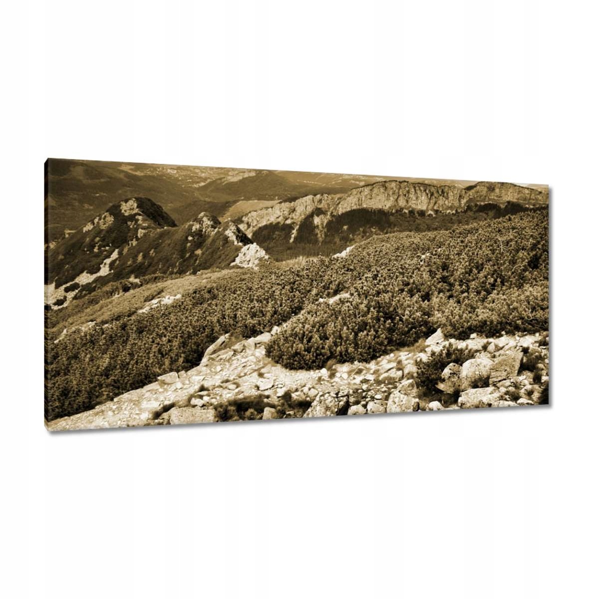 Obrazy 115x55 Tatry Polské hory Pohled