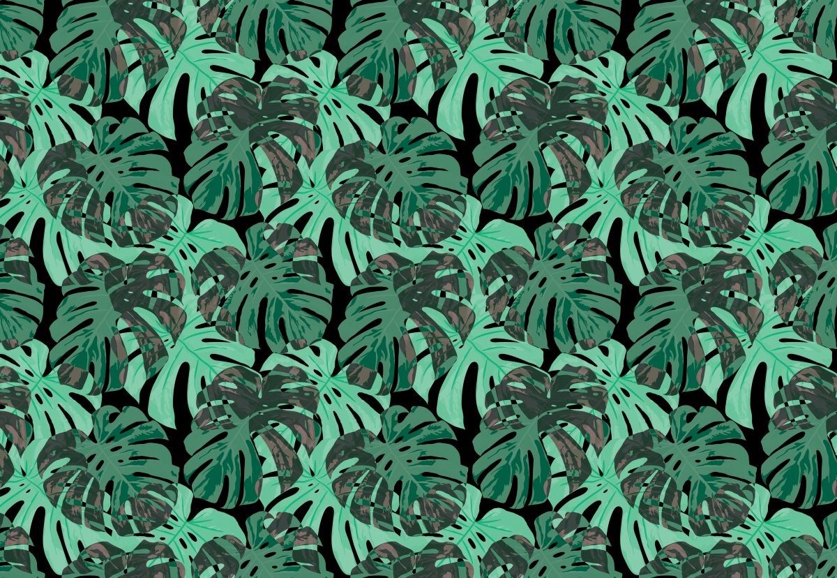 

Fototapeta Flizelinowa Liście Monstera - 152x104