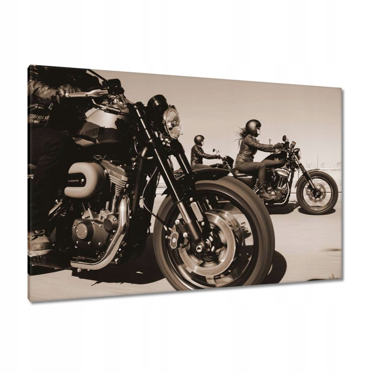 Obrazy 120x80 Harley Davidson Motocykl