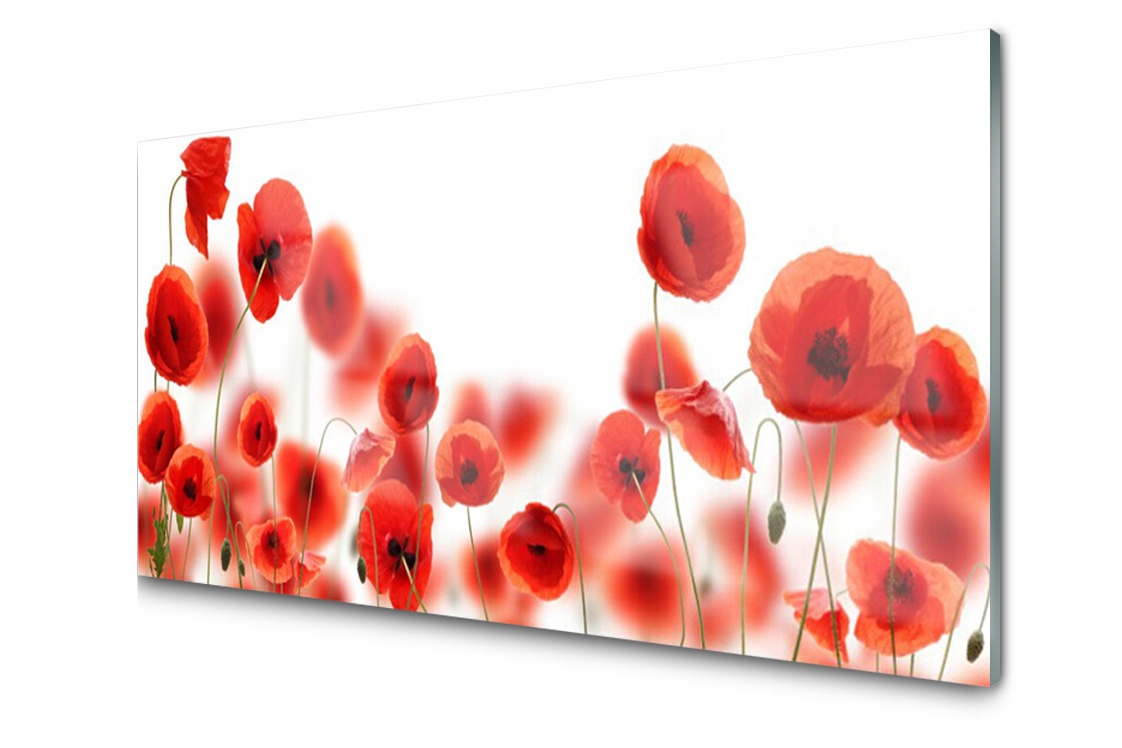 

Panel szklany dekoracyjny Maki Roślina 100x50