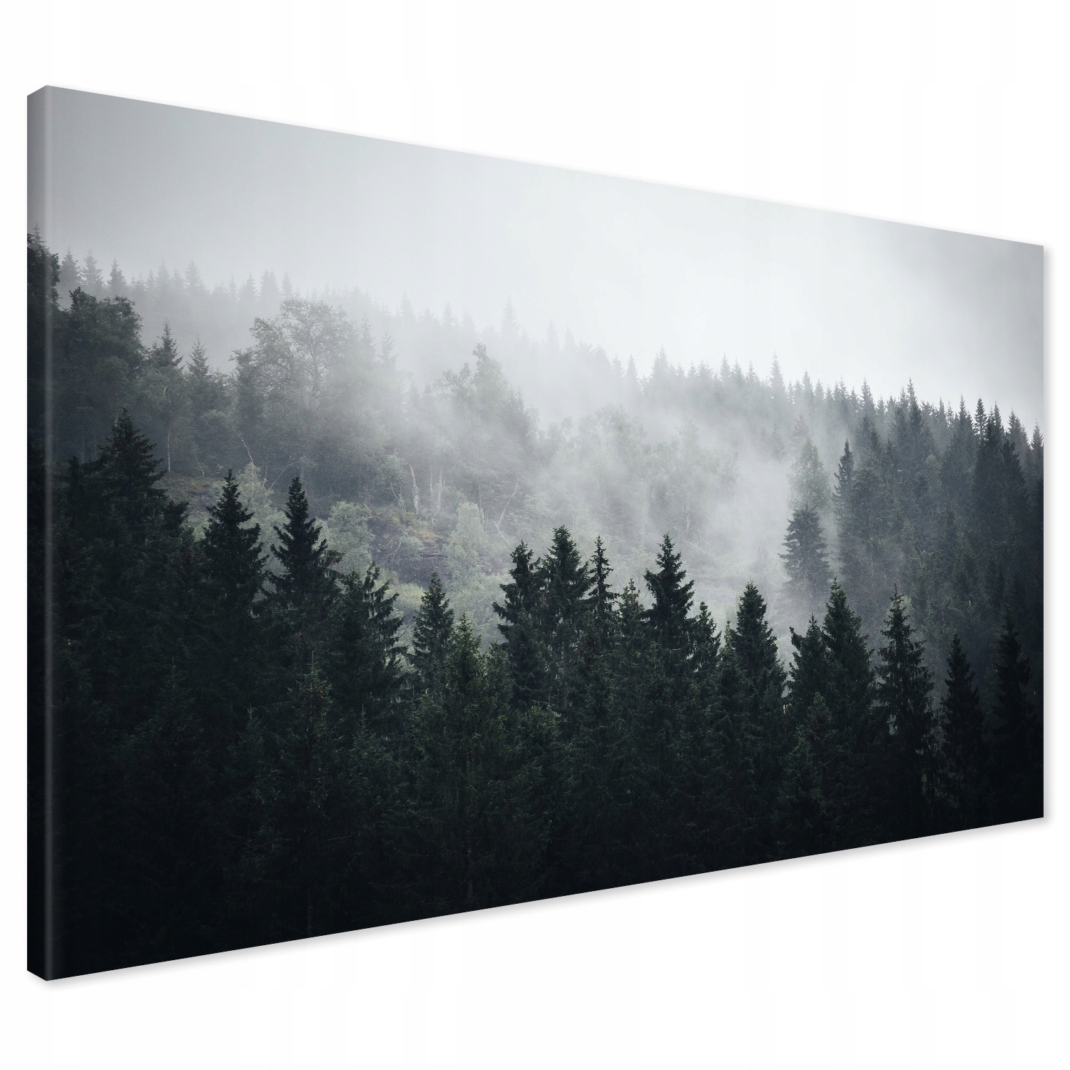 

Obraz na płótnie las góry mgła 120x80