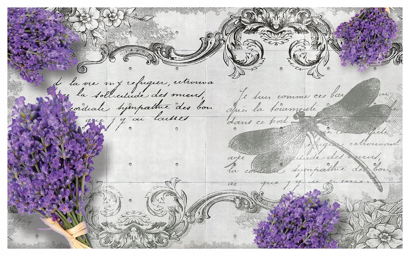 Fototapeta Levandule vážka vintage vinylová 312x219 Provensálský styl lepidlo