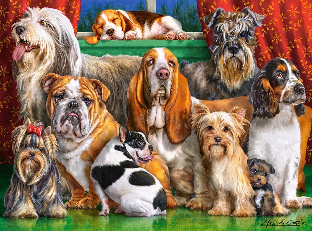 

Puzzle 3000 Castorland 300501 Psy