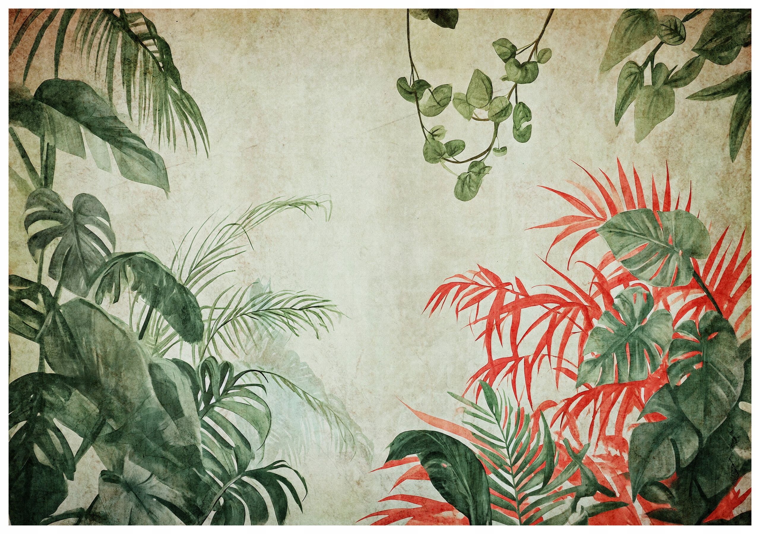 Fototapeta Tropické vinylové listy palmy a liany 312x219 lepidlo